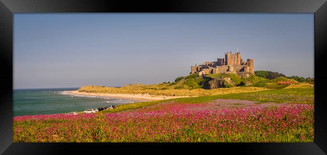 Bamburgh Castle Campion fields Framed Print by Naylor's Photography
