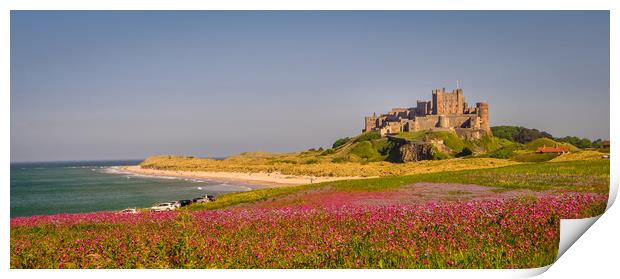 Bamburgh Castle Campion fields Print by Naylor's Photography