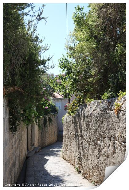 Walkway leading down to Old Town Dubrovnik Print by Andrew Reece
