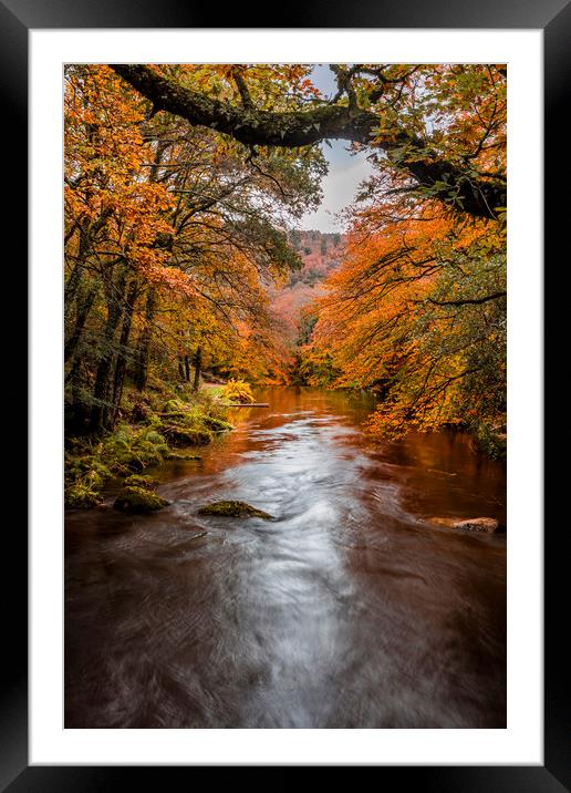 Teign River, Devon. Framed Mounted Print by Maggie McCall