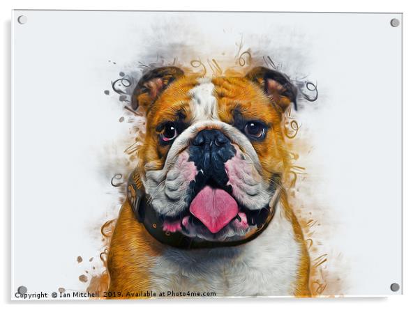 Bulldog Art Acrylic by Ian Mitchell