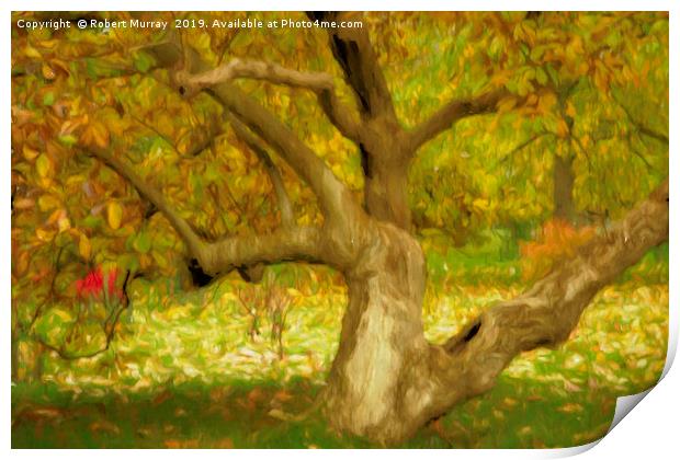 Gnarled Tree in Autumn Print by Robert Murray