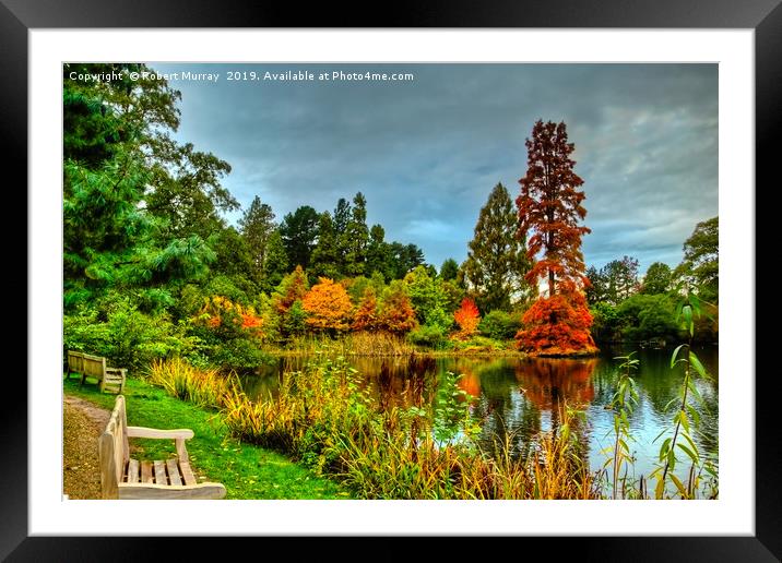  Autumn Colours Reflected in Pond Framed Mounted Print by Robert Murray