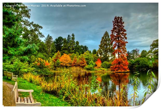  Autumn Colours Reflected in Pond Print by Robert Murray