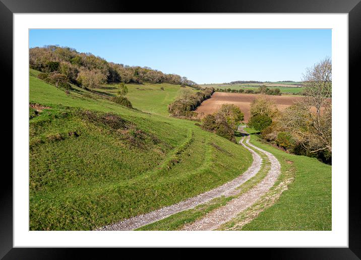 Lychpole Hill - South Downs National Park Framed Mounted Print by Malcolm McHugh