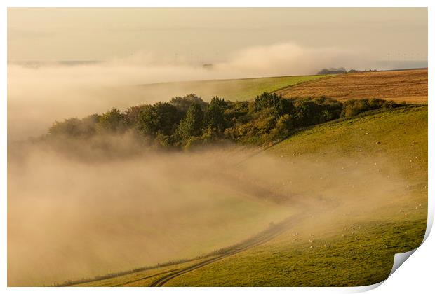 South Downs Mist Print by Malcolm McHugh