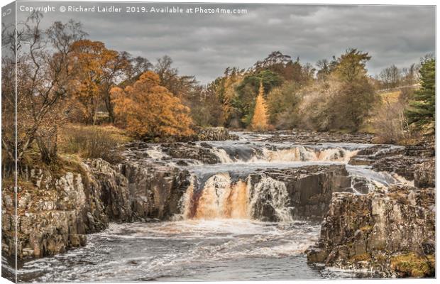Autumn Colours at Low Force Waterfall, Teesdale Canvas Print by Richard Laidler
