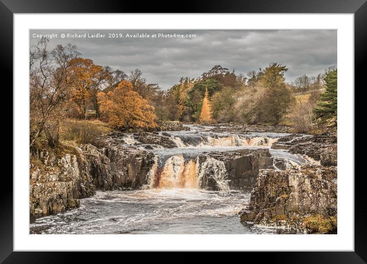 Autumn Colours at Low Force Waterfall, Teesdale Framed Mounted Print by Richard Laidler