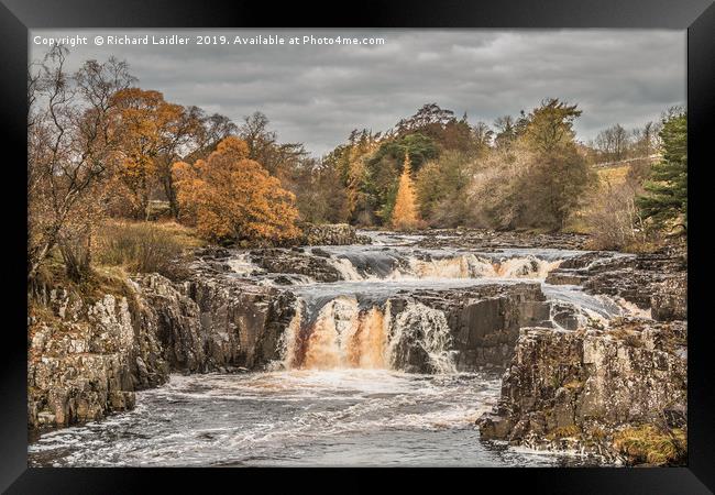 Autumn Colours at Low Force Waterfall, Teesdale Framed Print by Richard Laidler
