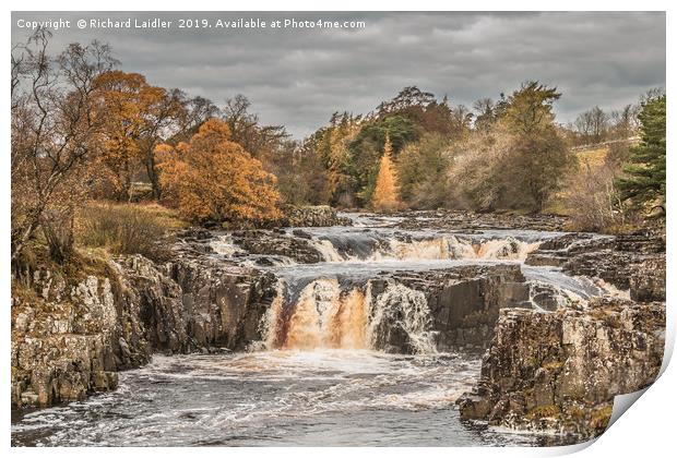 Autumn Colours at Low Force Waterfall, Teesdale Print by Richard Laidler