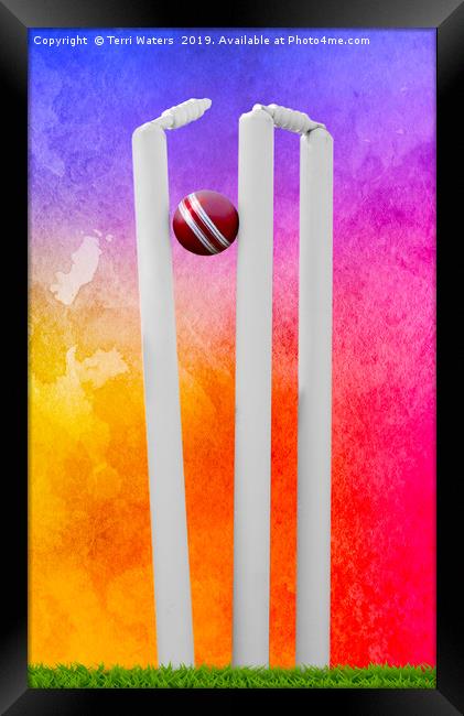 Colourful Cricket Stumps Framed Print by Terri Waters