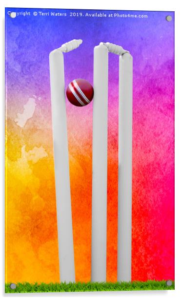 Colourful Cricket Stumps Acrylic by Terri Waters
