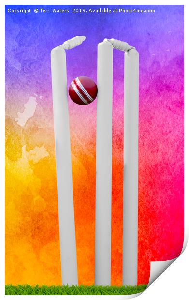 Colourful Cricket Stumps Print by Terri Waters