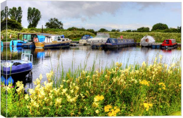 Canal Boats in Helix Park Canvas Print by Tom Gomez
