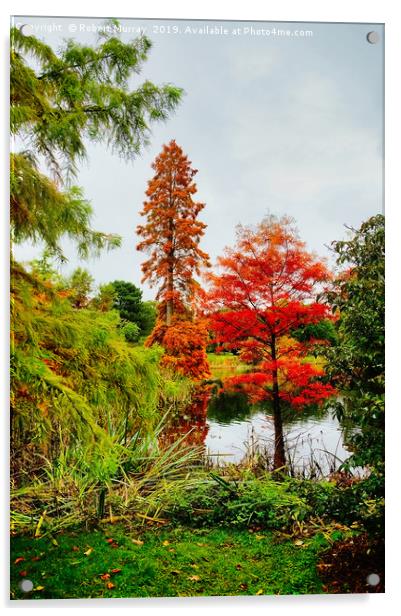  Reds and Greens of Autumn Acrylic by Robert Murray