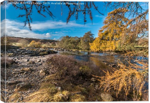 Autumn on the River Tees in Upper Teesdale Canvas Print by Richard Laidler
