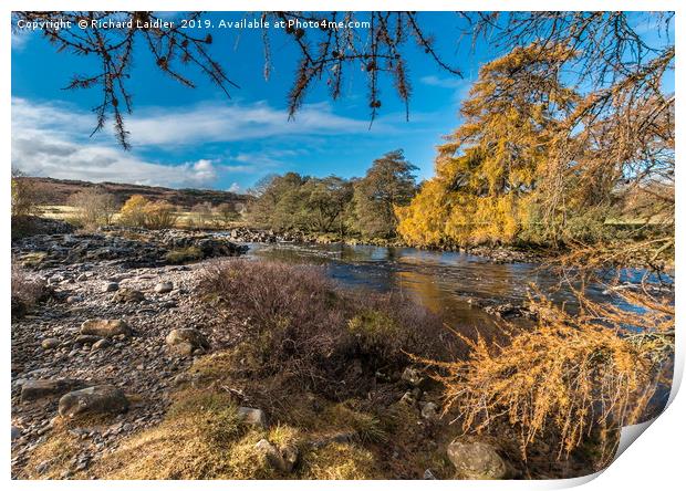 Autumn on the River Tees in Upper Teesdale Print by Richard Laidler