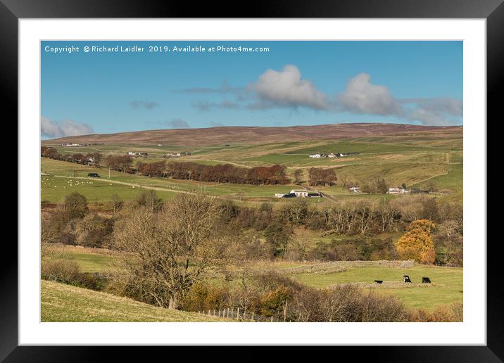 Upper Teesdale in Autumn, Over To Ettersgill  Framed Mounted Print by Richard Laidler