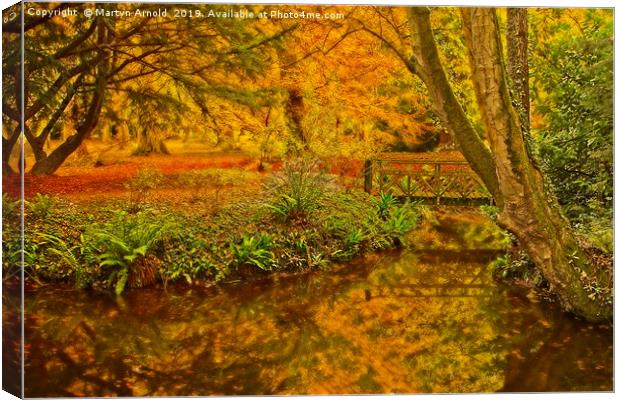 Autumn Wood at Thorp Perrow Arboretum Canvas Print by Martyn Arnold