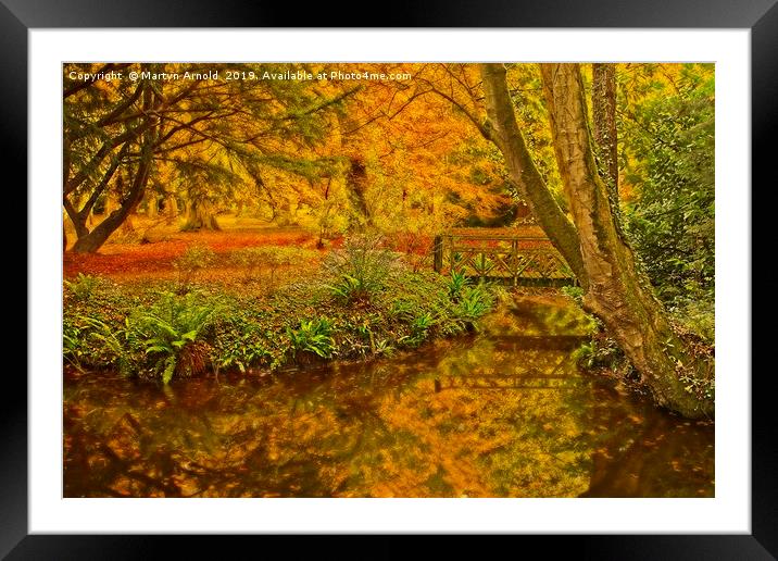 Autumn Wood at Thorp Perrow Arboretum Framed Mounted Print by Martyn Arnold