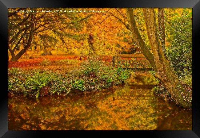 Autumn Wood at Thorp Perrow Arboretum Framed Print by Martyn Arnold
