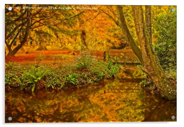 Autumn Wood at Thorp Perrow Arboretum Acrylic by Martyn Arnold