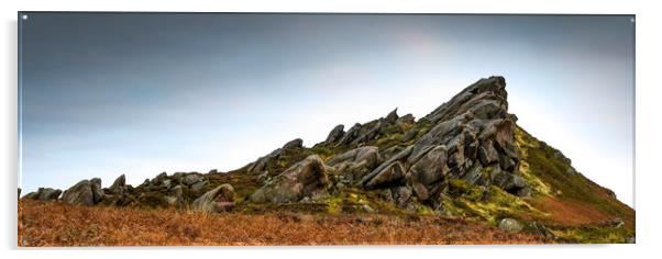 Ramshaw Rocks Derbyshire Acrylic by Robbie Spencer