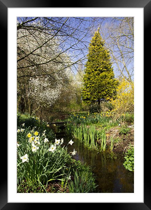 Tranquil Stream Framed Mounted Print by Paul Macro