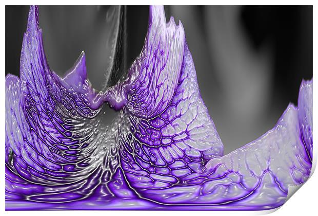 Glass Flower Print by Ian Jeffrey
