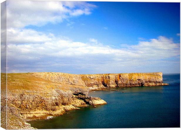 Stackpole Headland.Embossed.Wales. Canvas Print by paulette hurley