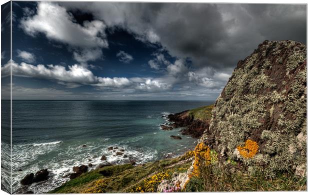 Atlantic Blue Canvas Print by Mark Robson