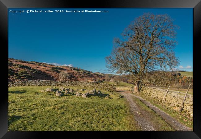 Track to Holwick Head House Framed Print by Richard Laidler