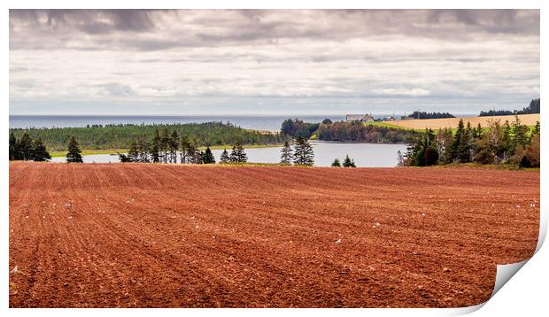 North Coast, Prince Edward Island, Canada Print by Mark Llewellyn