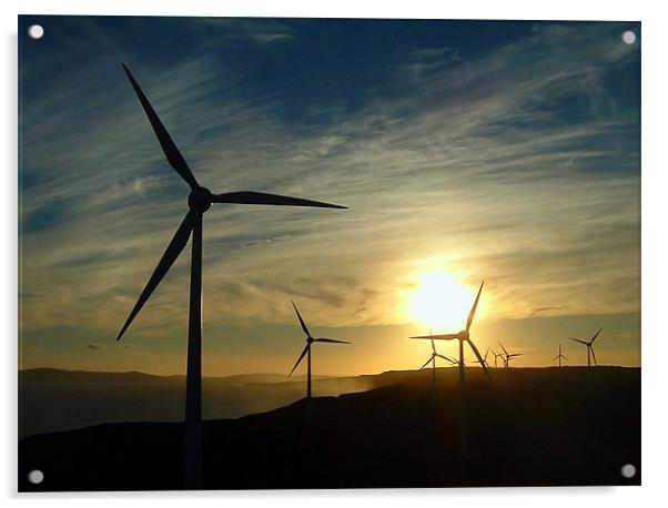 Windmills at Sunset Acrylic by Serena Bowles