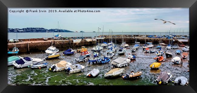 Paignton Harbour - Low Tide.  Framed Print by Frank Irwin