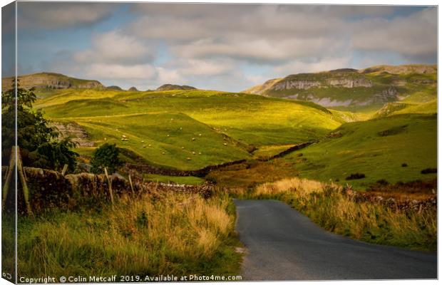 Dales Road Canvas Print by Colin Metcalf