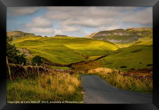Dales Road Framed Print by Colin Metcalf