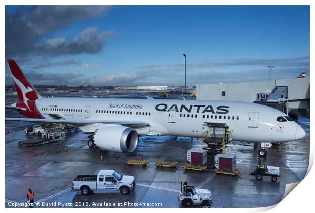 Qantas Boeing 787 Dreamliner Print by David Pyatt
