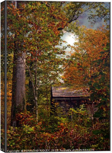 "Little hut in the Autumn wood" Canvas Print by ROS RIDLEY