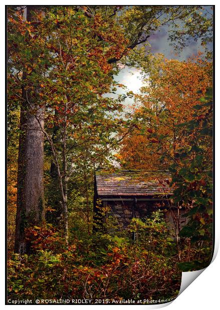 "Little hut in the Autumn wood" Print by ROS RIDLEY