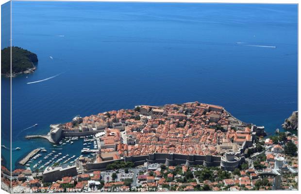 Old Dubrovnik town from above Canvas Print by Andrew Reece