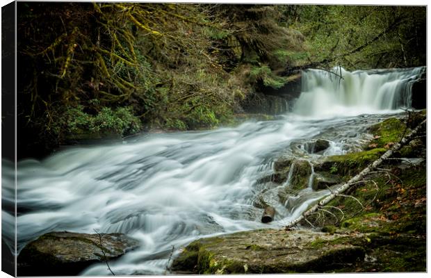 Alsea Falls Canvas Print by Belinda Greb