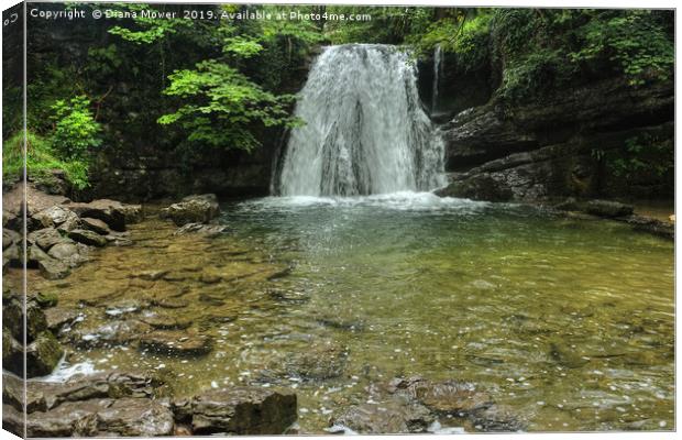  Janets Foss Waterfall Malham Yorkshire  Canvas Print by Diana Mower