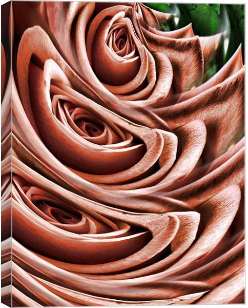 graphic rose Canvas Print by Heather Newton