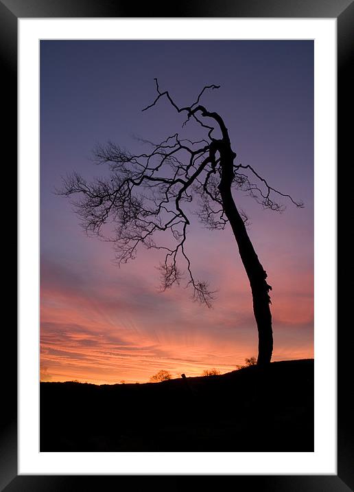Sunrise silhouette Framed Mounted Print by Wayne Molyneux
