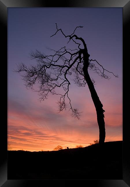 Sunrise silhouette Framed Print by Wayne Molyneux