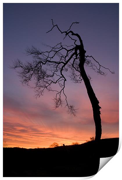 Sunrise silhouette Print by Wayne Molyneux