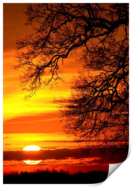 Winter Sunrise Print by Darren Burroughs