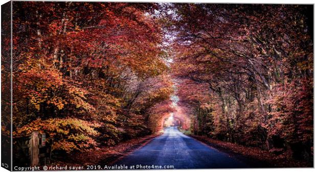 A Road to Autumns Glory Canvas Print by richard sayer