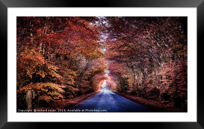A Road to Autumns Glory Framed Mounted Print by richard sayer